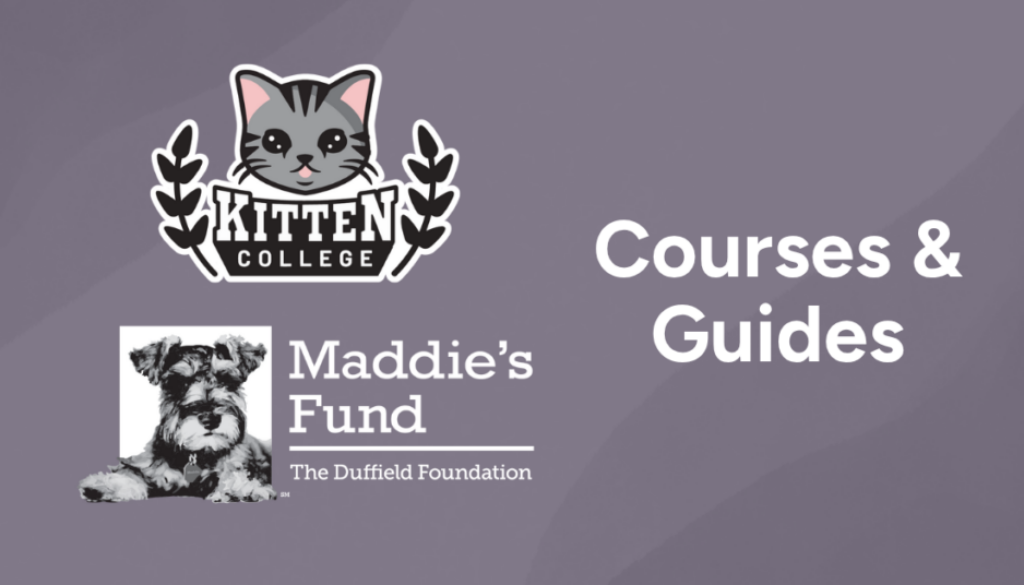 Courses_Post_Cat_Maddies