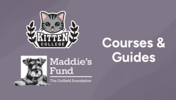Courses_Post_Cat_Maddies