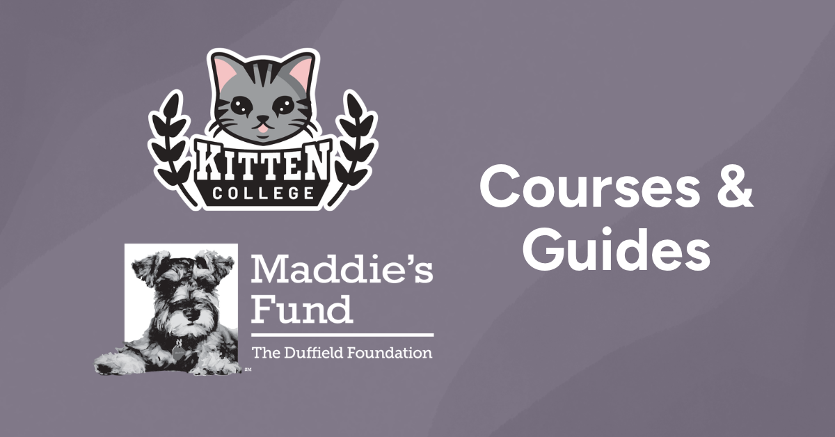 Courses_Post_Cat_Maddies