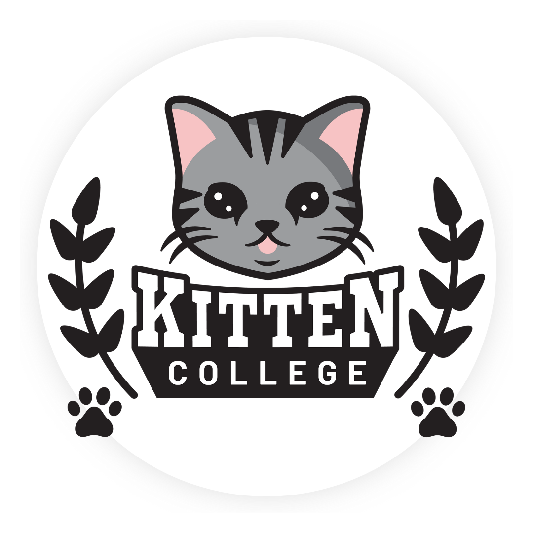 Kitten College