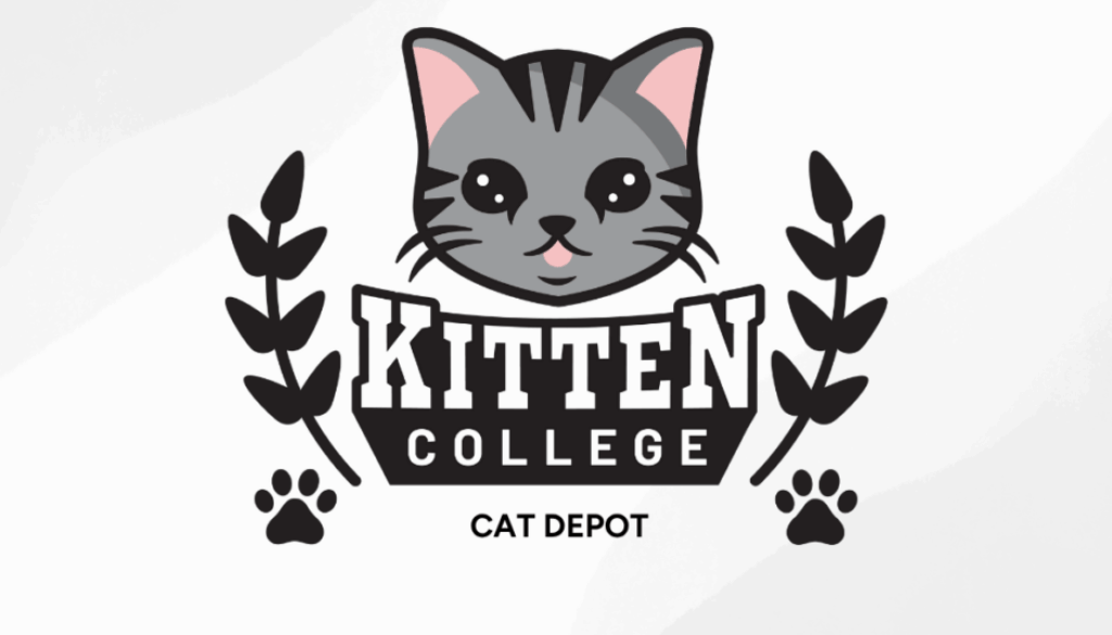 CatDepot