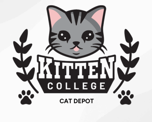 CatDepot