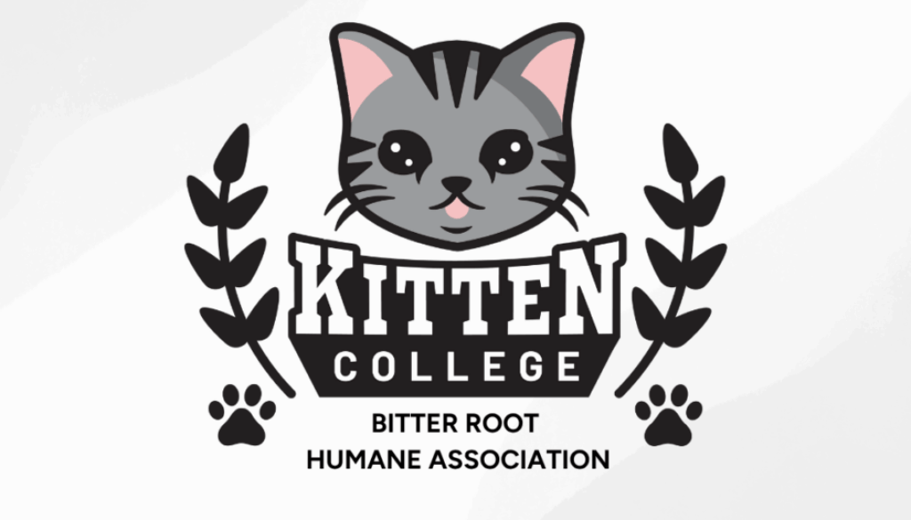 BitterRoot