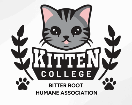 BitterRoot