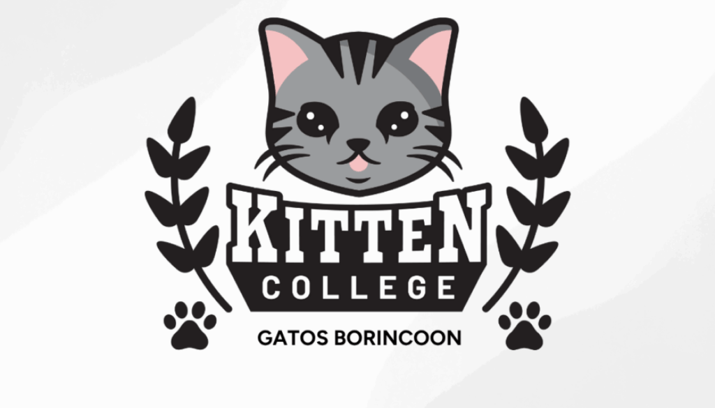 Gatos