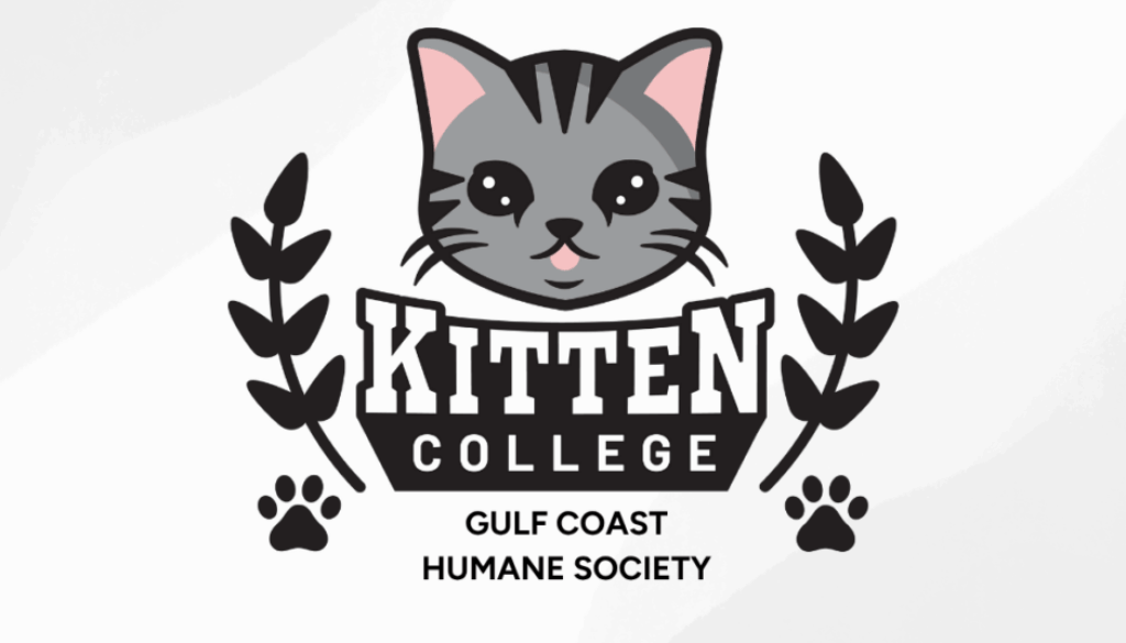 GulfCoast