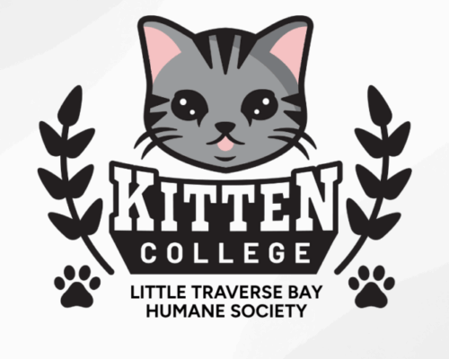 Little Traverse Bay Humane Society (1)