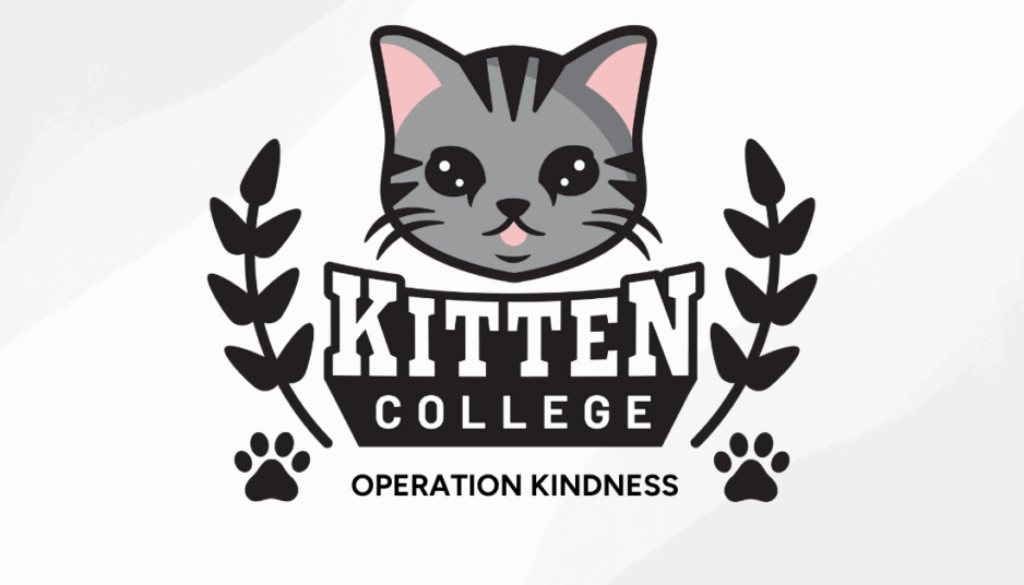 OperationKindness