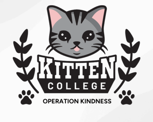 OperationKindness