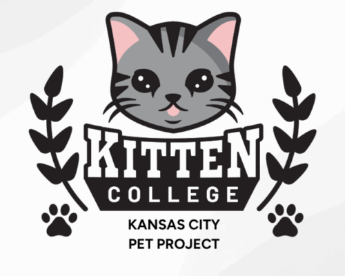 PetProject
