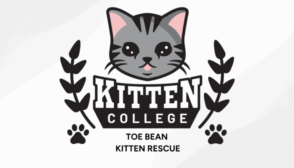 ToeBean