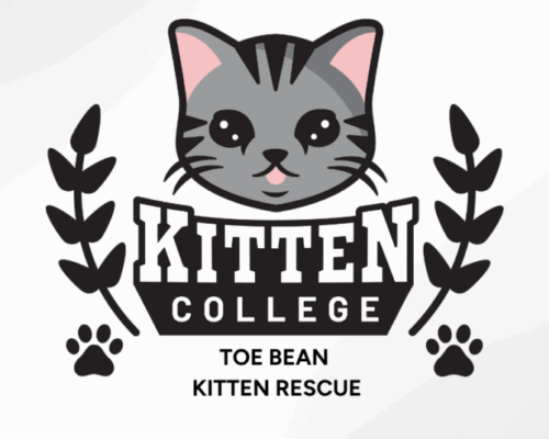 ToeBean