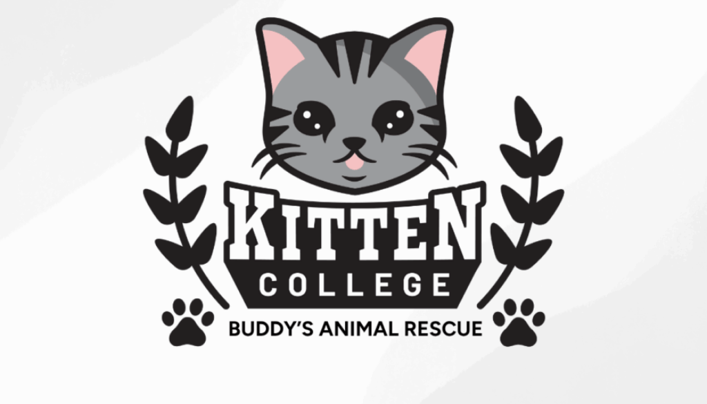 BuddysAnimalRescue (1)