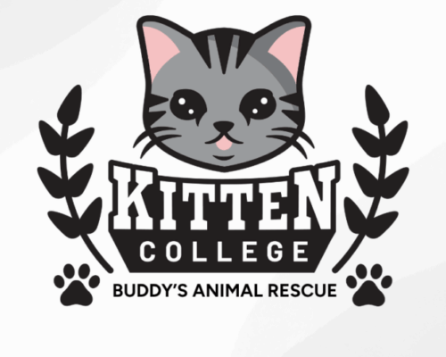 BuddysAnimalRescue (1)
