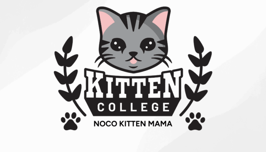 NoCo Kitten Mama