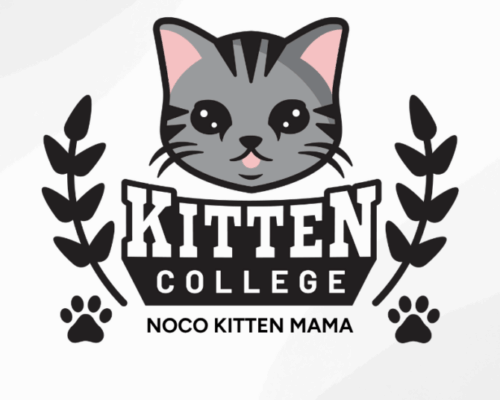 NoCo Kitten Mama