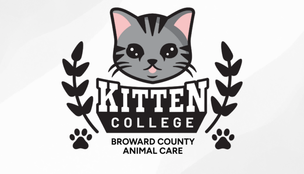 Broward County Animal Care (1)