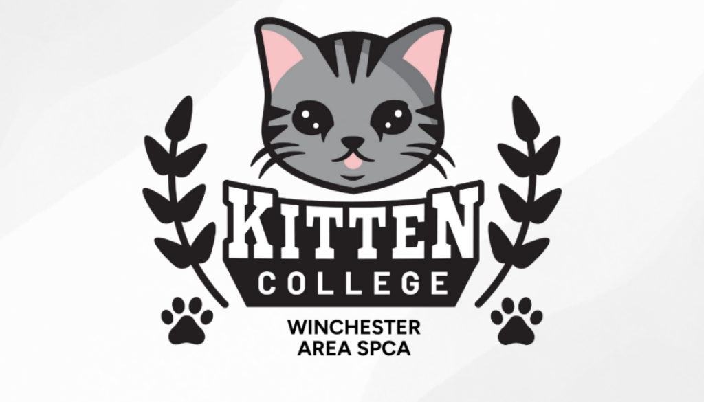 Winchester Area SPCA (1)