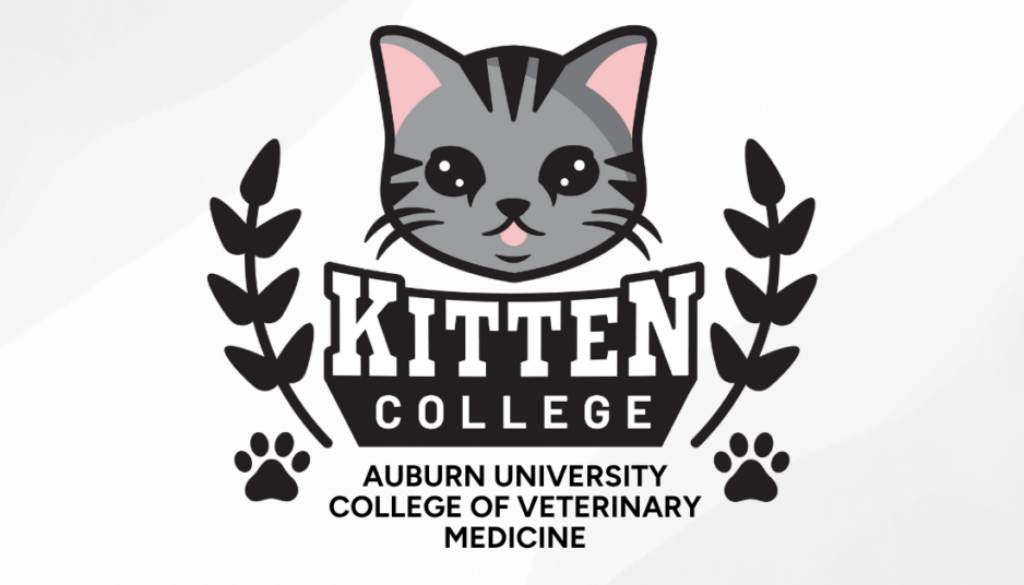 Auburn University College of Veterinary Medicine