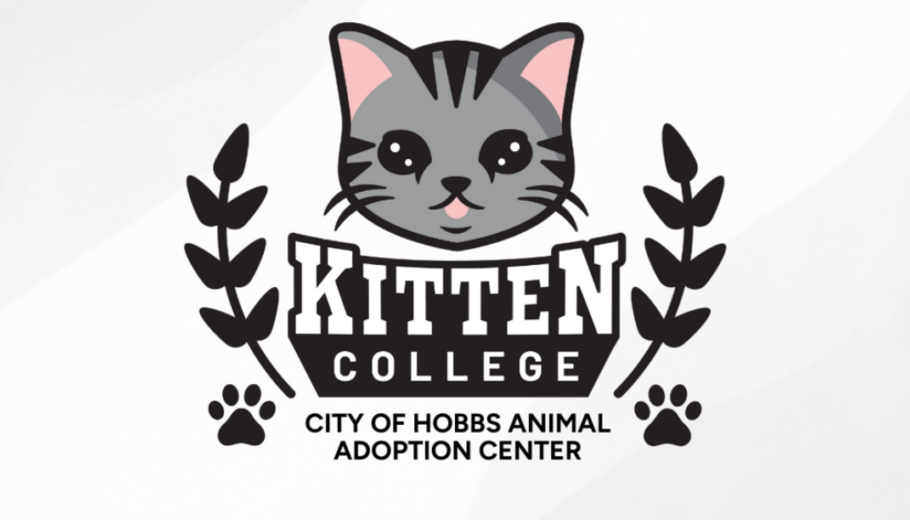 City of Hobbs Animal Adoption Center (1)