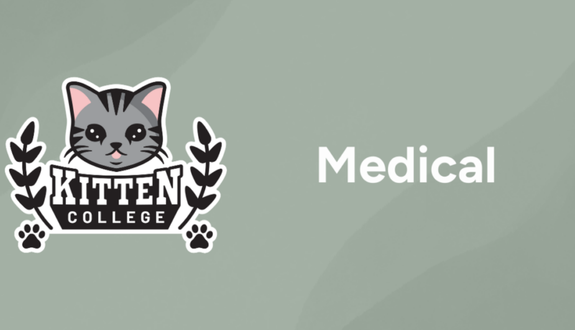 Copy of KC-ResourcesFeatured