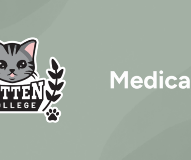 Copy of KC-ResourcesFeatured