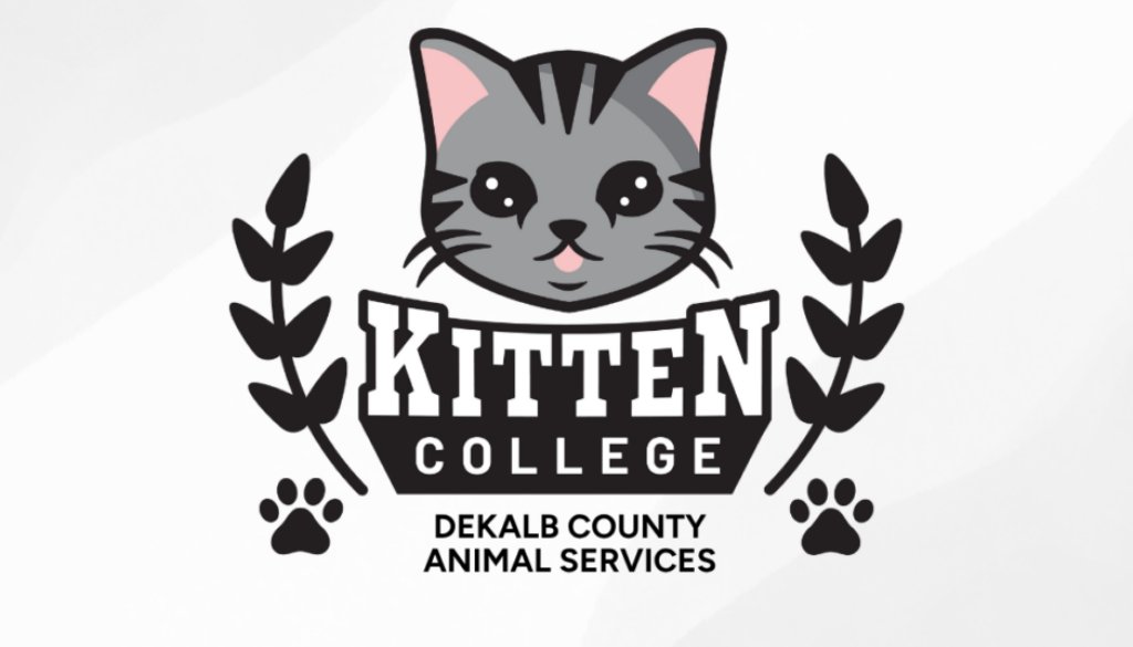 Dekalb County Animal Services