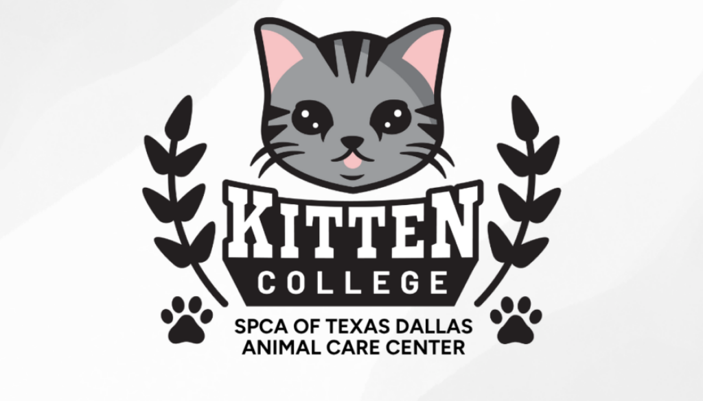 SPCA of Texas Dallas Animal Care Center (1)