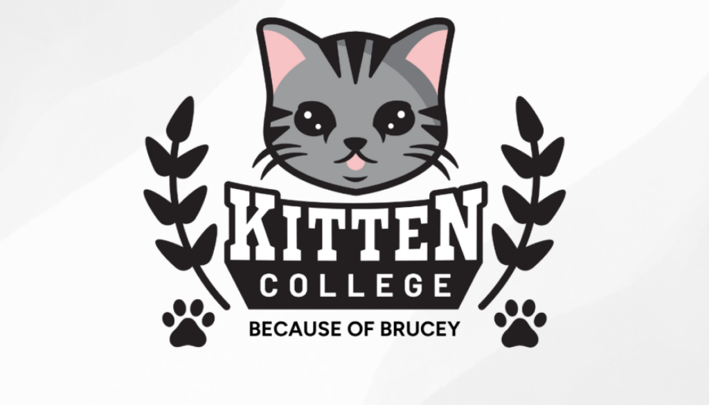 Because Of Brucey (1)