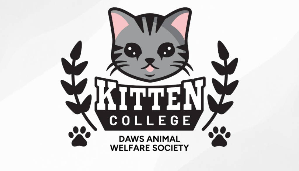 DAWS Animal Welfare Society (1)
