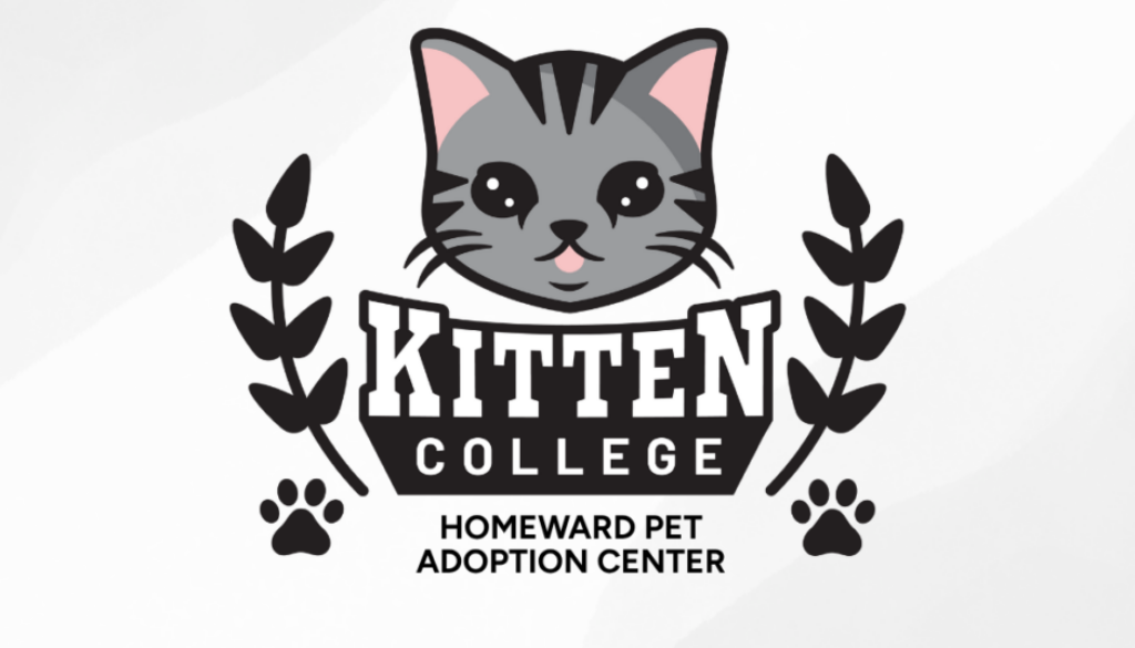 Homeward Pet Adoption Center (1)