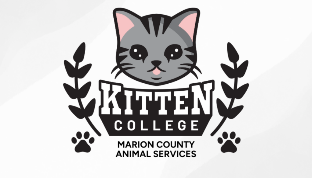 Marion County Animal Services (1)