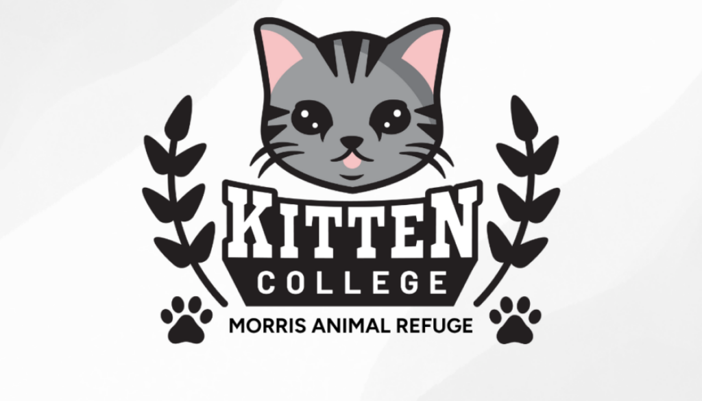 Morris Animal Refuge (1)