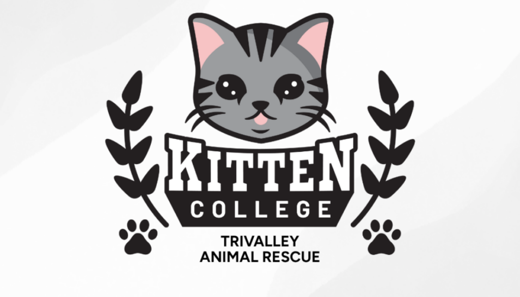 TriValley Animal Rescue (1)