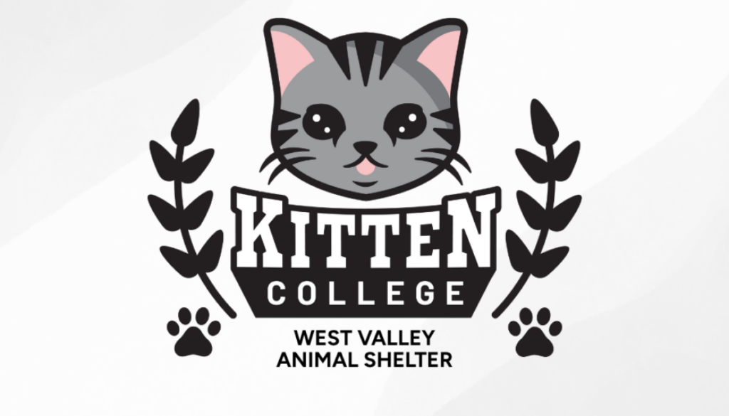West Valley Animal Shelter (1)