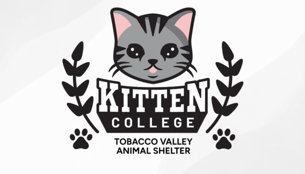 Tobacco Valley Animal Shelter (1)