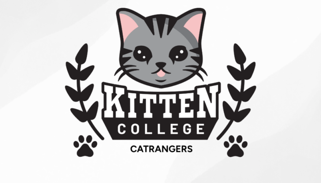 CatRangers (1)
