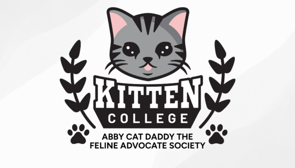 Abby Cat Daddy the Feline Advocate Society (1)