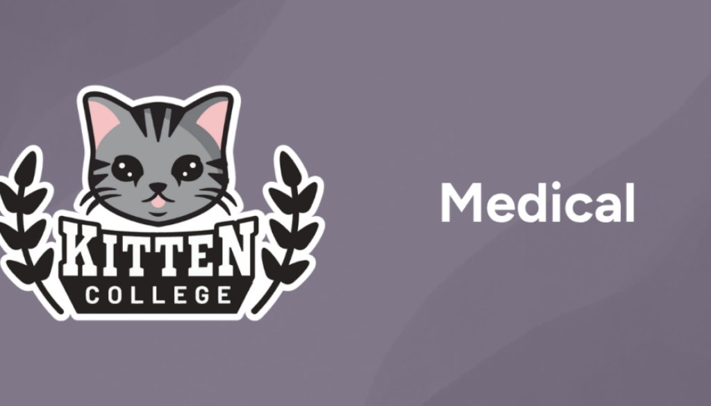Medical_Post_Cat