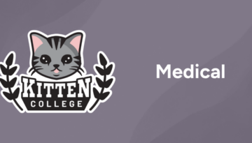 Medical_Post_Cat
