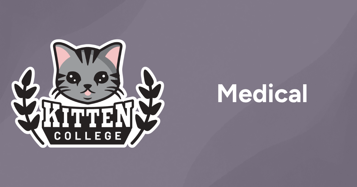 Medical_Post_Cat