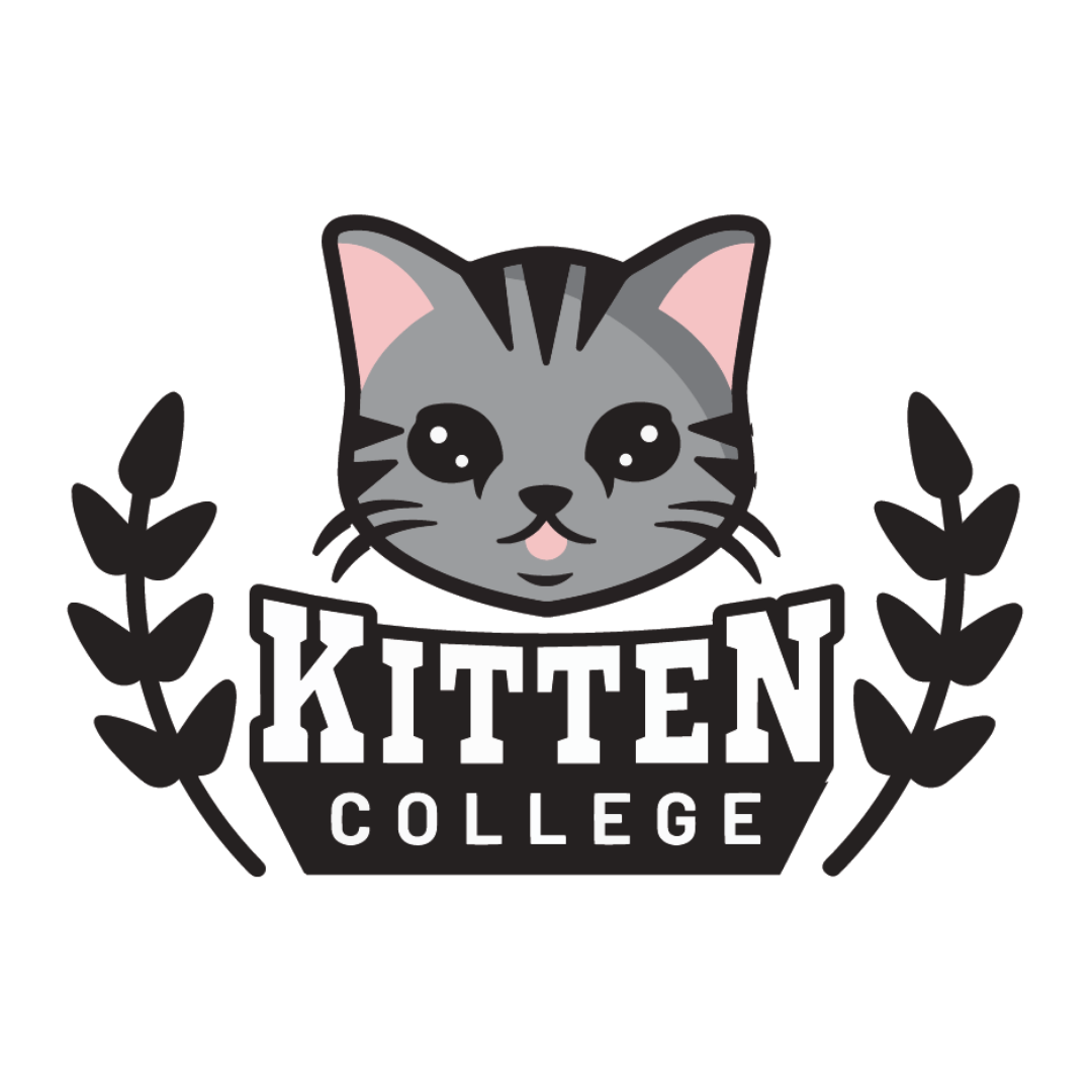 Kitten College