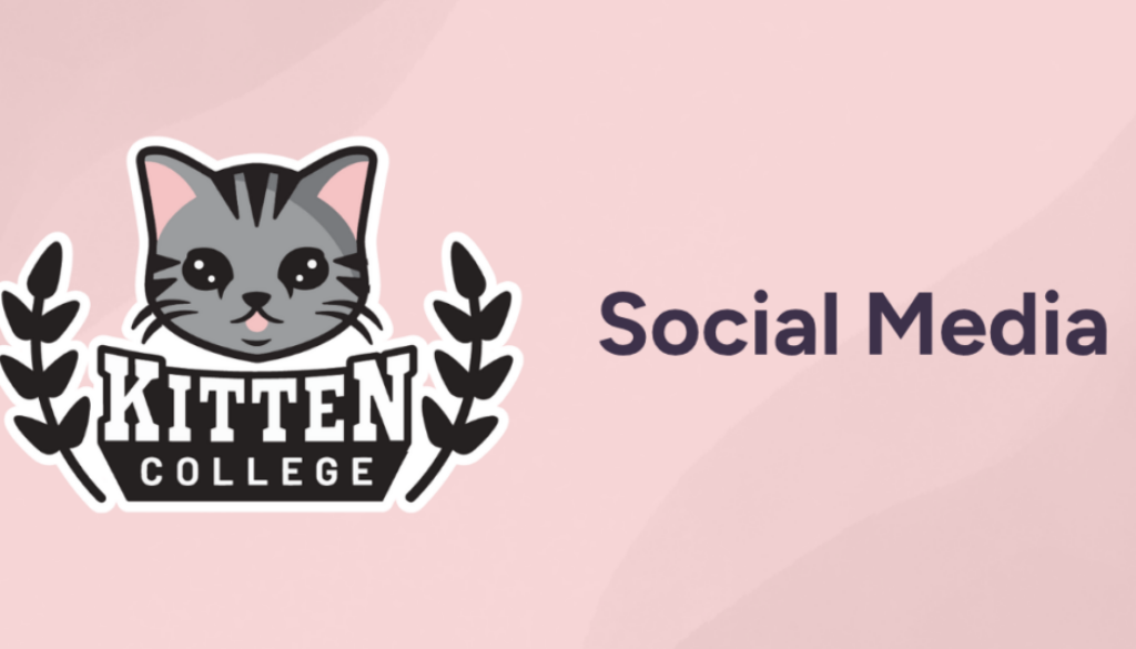 Social_Post_Cat