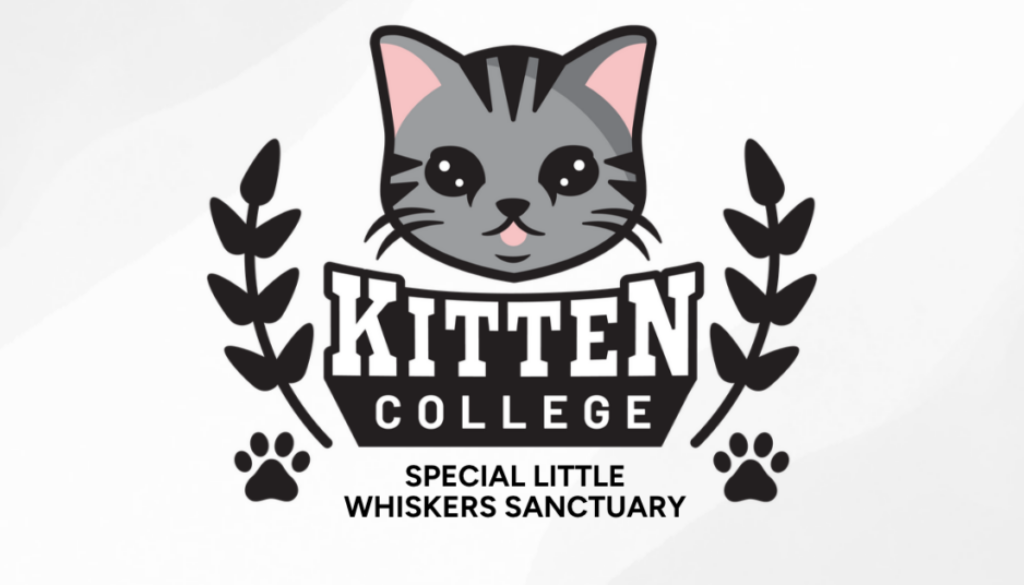 Special Little Whiskers Sanctuary