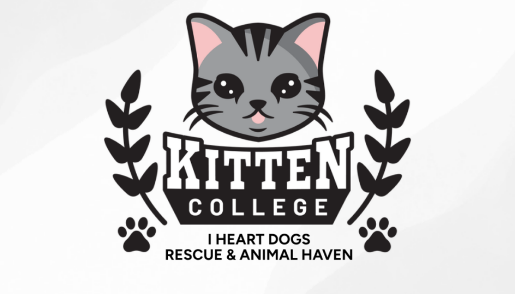 I Heart Dogs Rescue & Animal haven