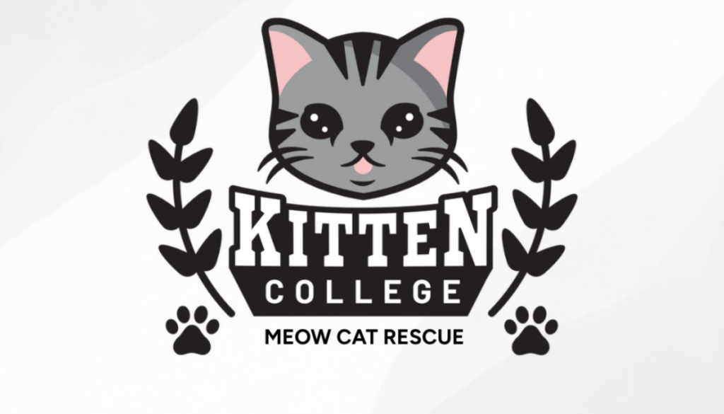 MEOW Cat Rescue (1)